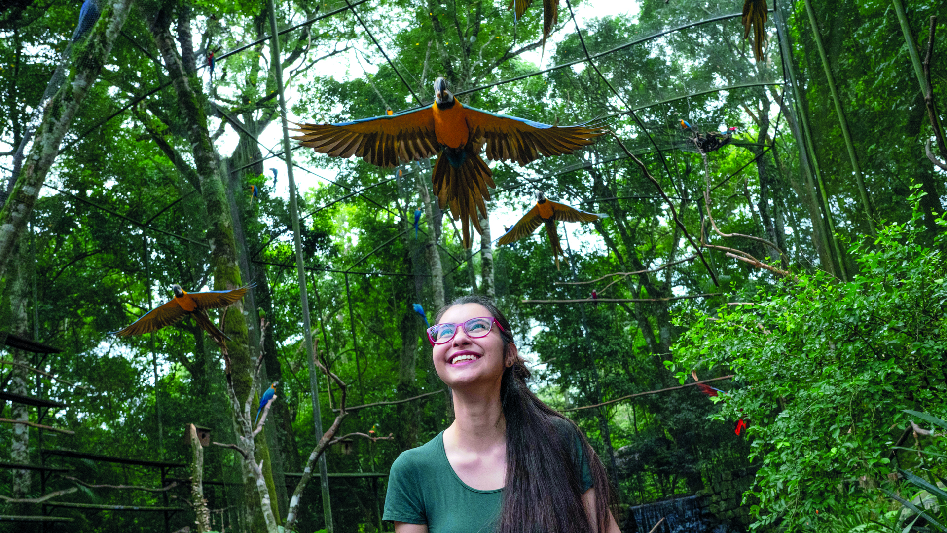 Parque das Aves